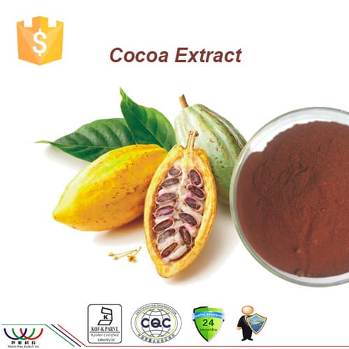 Pure natural weight loss ingredient cocoa seed extract
